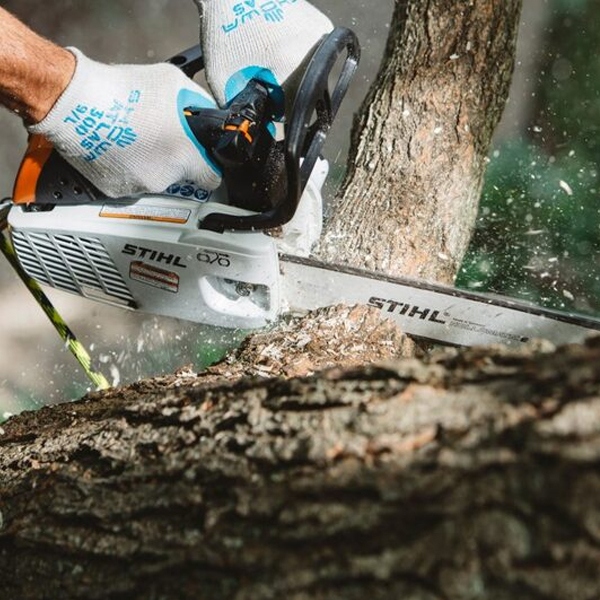 may-cua-xich-leo-cao-mini-tay-cut-cat-tia-canh-nhanh-cay-stihl-ms194t 4